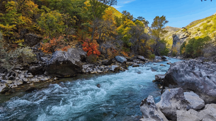 Mahkeme, Munzur'da doğal sit alanı iptal davasını reddetti