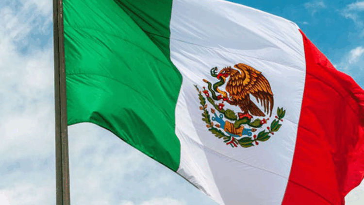 Meksika'da gizli mezarlıkta 16 ceset bulundu