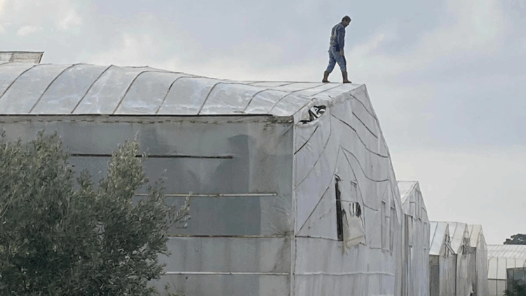 Mersin'de hortum ve fırtına seralara zarar verdi