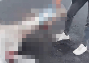 Nevşehir’de otomobilin çarptığı 2 at öldü
