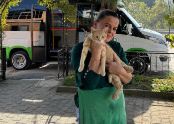 Yolcu isimli kedi, dolmuş durağının maskotu oldu