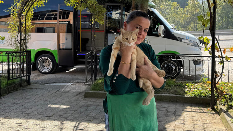Yolcu isimli kedi, dolmuş durağının maskotu oldu