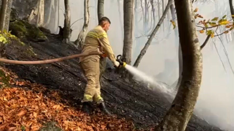 Ordu'da ormana da sıçrayan örtü yangını kontrol altına alındı