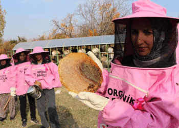 Pembe maskeli arıcı kadınlar, bal hasadında 'meme kanserine' dikkat çekti