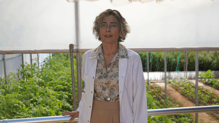 Ruhsal hastalıklarla 'toplum temelli' mücadele; birlikte üretip paylaşıyorlar