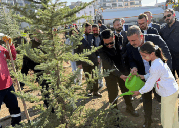 Sincan’da 244 fidan toprakla buluştu