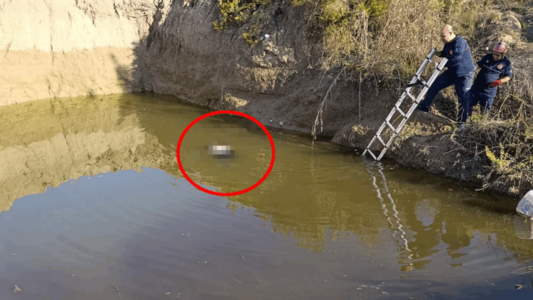 Su dolu çukurdan kadın cesedi çıktı