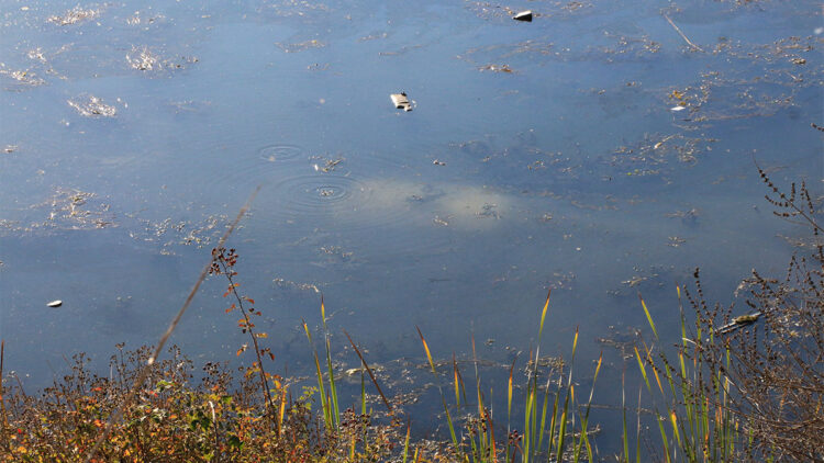 Tokat'ta ehliyetsiz sürücü otomobille gölete düştü