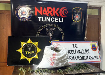 Tunceli merkezli 3 ilde operasyon; 23 kilo esrar ele geçirildi