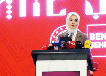 Tek kişilik hane oranı yüzde 20'ye ulaştı