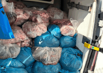Tekirdağ'da 2 ton kaçak sakatat ele geçirildi
