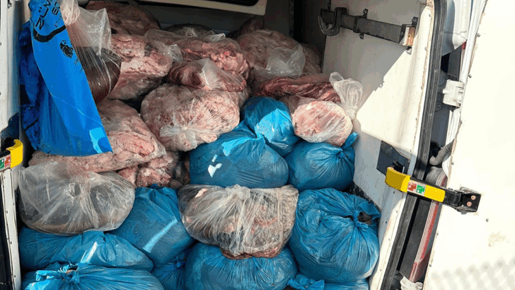 Tekirdağ'da 2 ton kaçak sakatat ele geçirildi