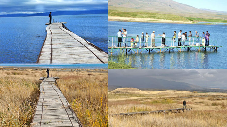 Van Gölü'ndeki çekilme gün yüzüne çıktı
