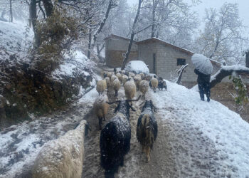 Van'da Karabet Geçidi'nde kar yağışı etkili oldu