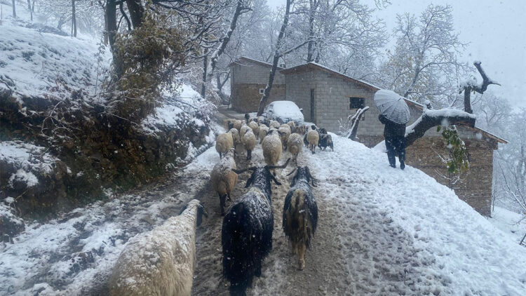 Van'da Karabet Geçidi'nde kar yağışı etkili oldu
