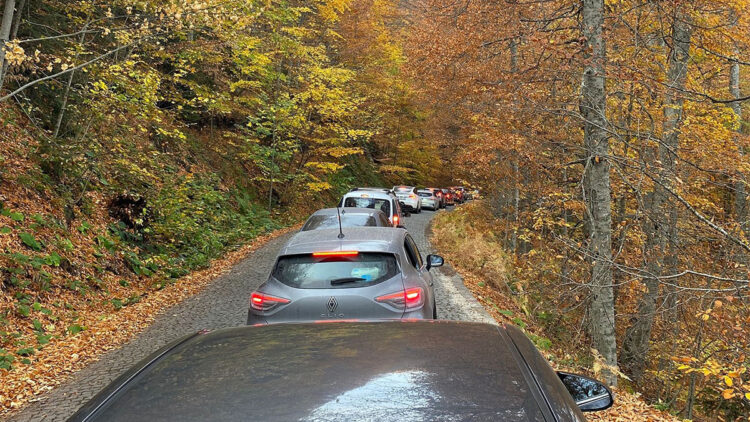 Yedigöller Milli Parkı'nı ekim ve kasımda 180 bin kişi ziyaret etti