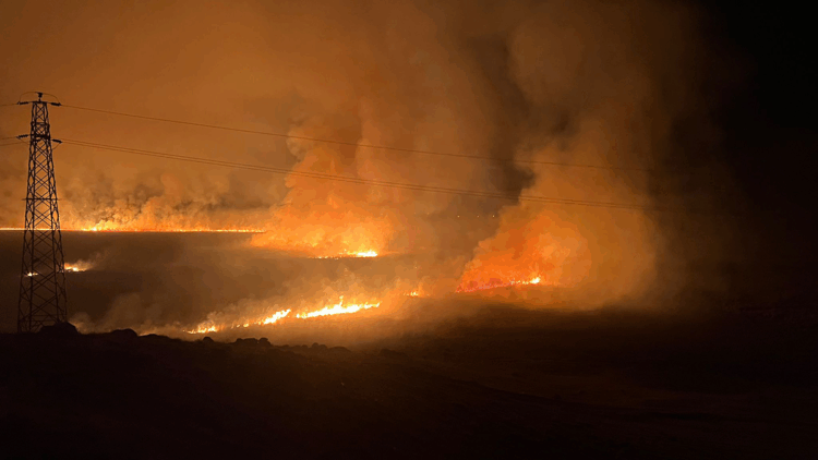 Yüksekova'daki Nehil Sazlığı'nda yangın