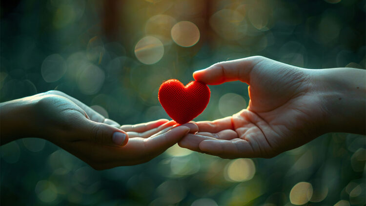 Bilmem seviyor gibiydi