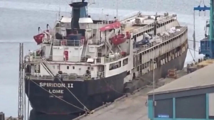 Bandırma Limanı'nda kaçak hayvanlar açlıktan öldü mü?