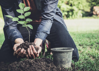Fidan ekimi: Geleceğe nefes olmak
