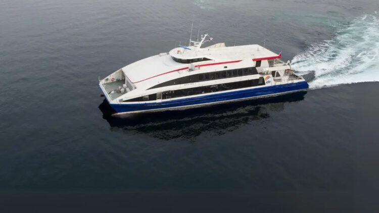 İstanbul'da bazı vapur ve Deniz Otobüsü seferleri iptal edildi