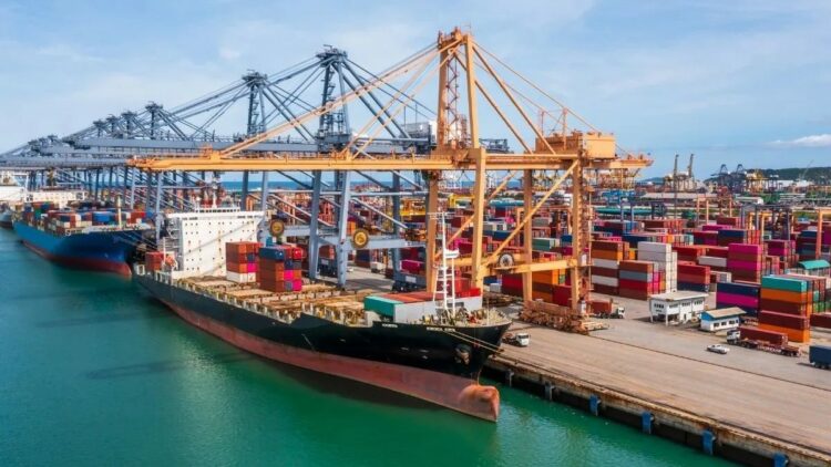 2023'te hizmet ihracatının yüzde 62,3'ünü büyük ölçekli girişimler yaptı