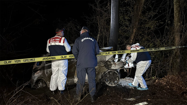 Ağaca çarpan hafif ticari aracın sürücüsü yanarak öldü