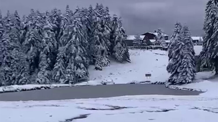 Arkut Dağı'nda kar kalınlığı 10 santimetreye ulaştı