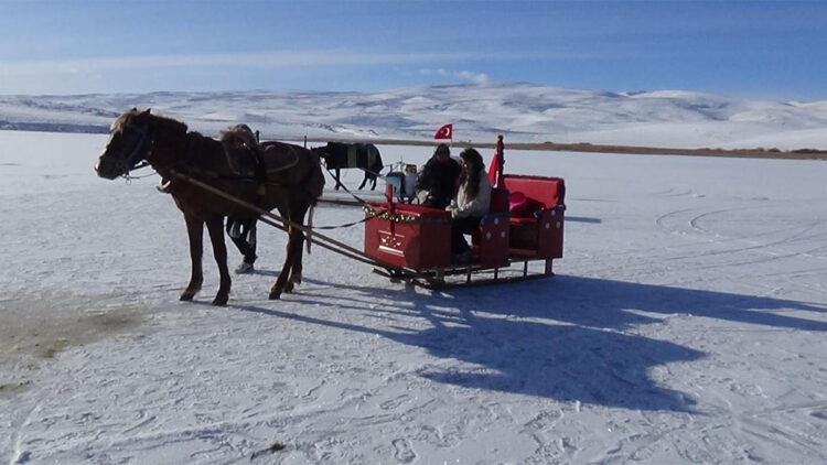 Çıldır Gölü’nde atlı kızak turu başladı