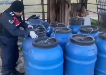 Aydın'da 6 ton sahte şarap ele geçirildi