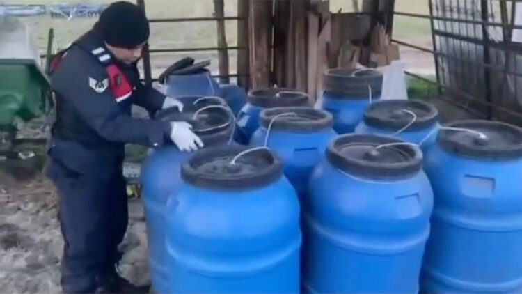 Aydın'da 6 ton sahte şarap ele geçirildi