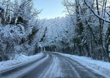 'Ağaç tünel yol'da beyaz güzellik