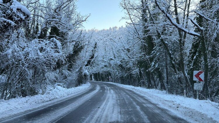 'Ağaç tünel yol'da beyaz güzellik