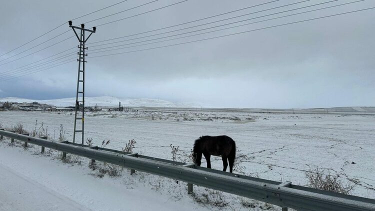 Ağrı'da kar yağışı