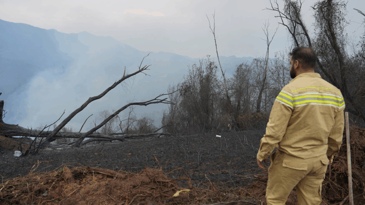 Artvin'deki örtü yangını kontrol altına alındı