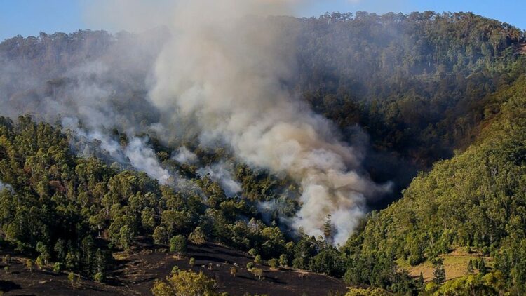 Avustralya'da 50'den fazla orman yangını çıktı