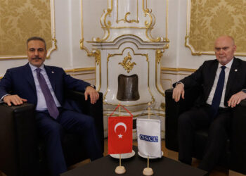 Hakan Fidan AGİT Genel Sekreteri Feridun Sinirlioğlu ile görüştü