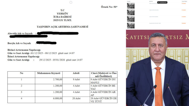 Ekonominin acı tablosu; Güvercinlere haciz geldi