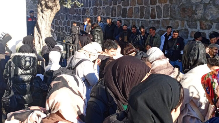 Bodrum'da 82 kaçak göçmen yakalandı