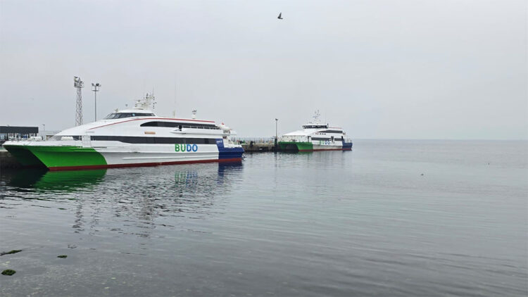 BUDO'nun 1 Ocak'taki 2 seferi iptal edildi