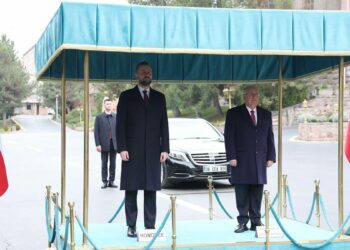 Bakan Güler, Polonya Başbakan Yardımcısı ile bir araya geldi