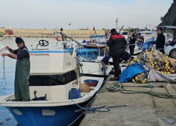 Balıkçılar Karadeniz'de umduklarını bulamadı; hamsi dışında çeşit yok