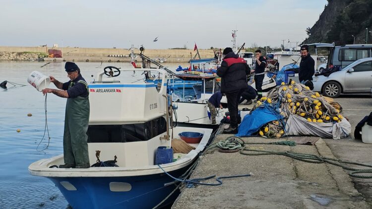 Balıkçılar Karadeniz'de umduklarını bulamadı; hamsi dışında çeşit yok