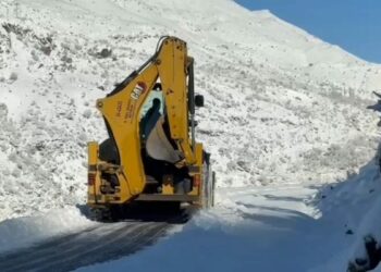 Batman'da 203 yerleşim yerinin yolu kardan kapandı