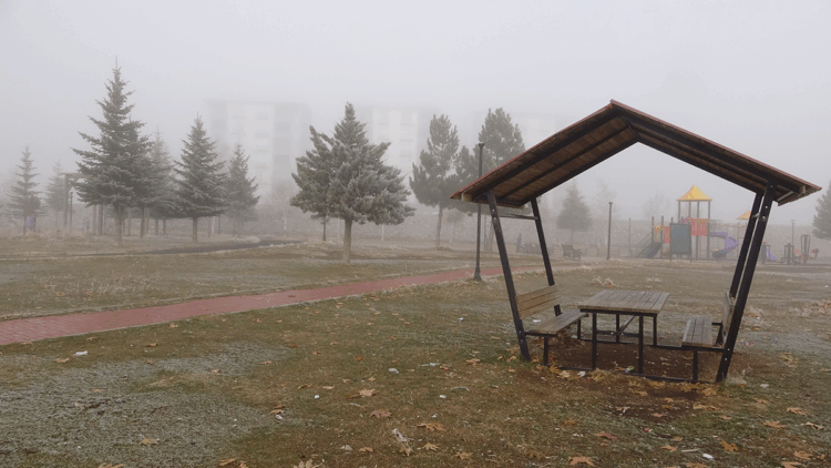 Bitlis'te sis etkili oldu