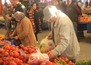 Çanakkale domatesinin fiyatı sağanağın ardından 10 TL'ye düştü