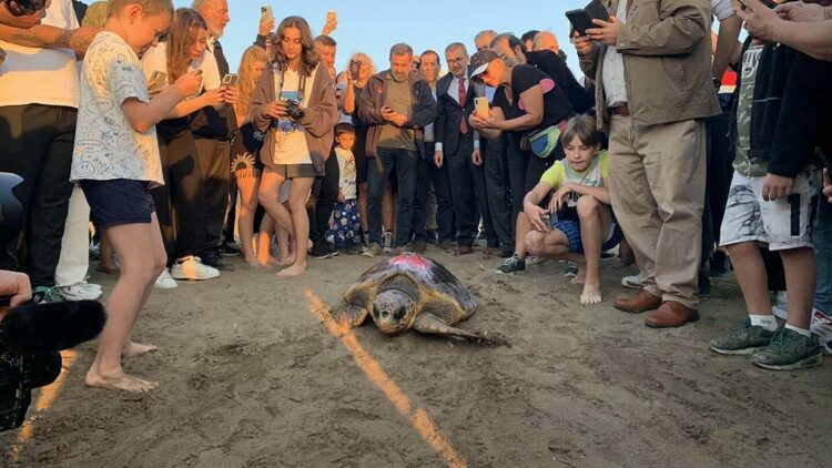 Caretta caretta 'Cumhuriyet'i 9 bin kişi izledi