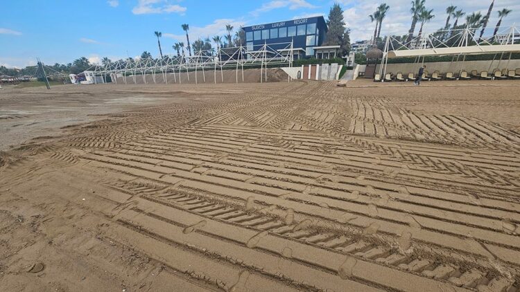 Caretta yuvası kumullar, iş makinesiyle ezildi