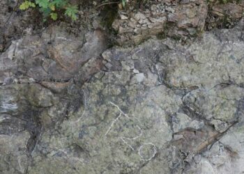 Çin'de yaklaşık 200 milyon yıl öncesine ait dinozor ayak izleri bulundu