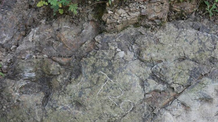 Çin'de yaklaşık 200 milyon yıl öncesine ait dinozor ayak izleri bulundu